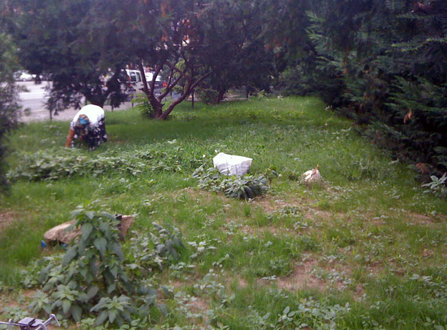 Antonio Serna + Brian Zegeer